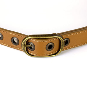 Brown & Brass 1" Belt